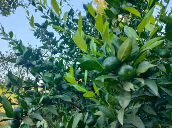 让我心安的地方