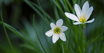 岁月留影的图片 岁月留影