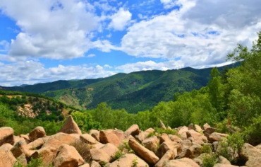 神奇的美林的图片 神奇的美林