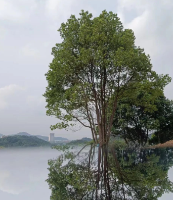 马拉松碰到心情不好,怎么跑?的图片 马拉松碰到心情不好,怎么跑?