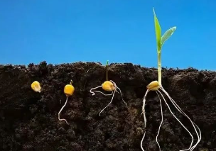 我和你 在一起的图片 我和你 在一起