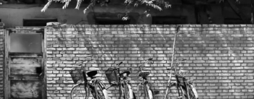 八月，如昙花一现