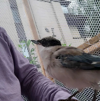 胡乱写点日记。不要进来看了