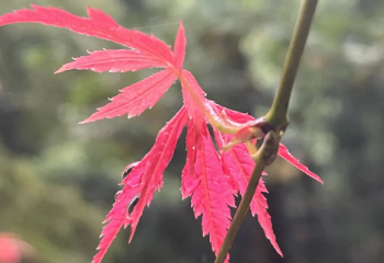 每次跑,思考都不一样!的图片 每次跑,思考都不一样!