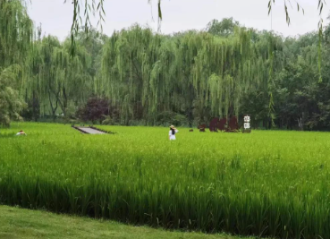 人至中年,方知中元的图片 人至中年,方知中元