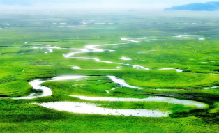 秋日微言的图片 秋日微言