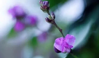 你在她身上看到秋天了吗的图片 你在她身上看到秋天了吗