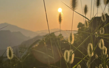 不跑步的她,突然……的图片 不跑步的她,突然……