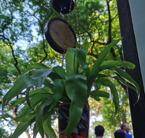 这些跑步问题｜你到底该怎么回答？