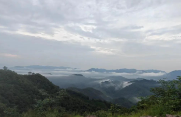 因为一个人,参加一场比赛!你报名了吗?的图片 因为一个人,参加一场比赛!你报名了吗?