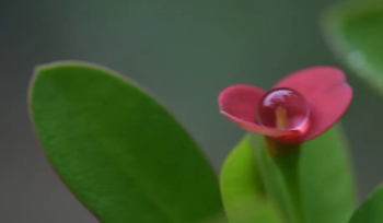 简单的快乐的图片 简单的快乐