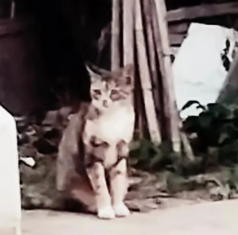 九月，日复一日