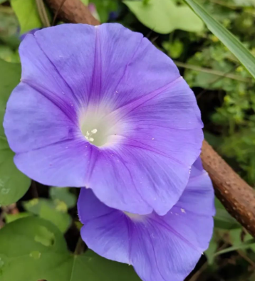 需要沉默的生活