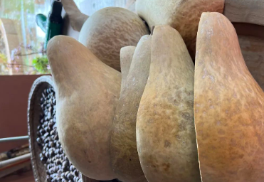 锯个葫芦当水瓢,就成江南“首席瓢客”?的图片 锯个葫芦当水瓢,就成江南“首席瓢客”?