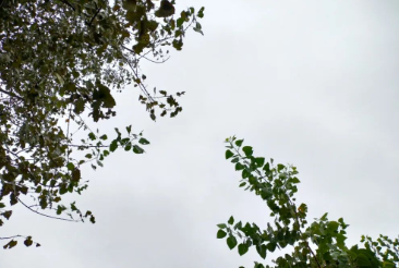 一切要发生的，一切已经到来的