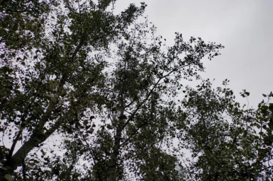 美好的，可以叫人信赖的