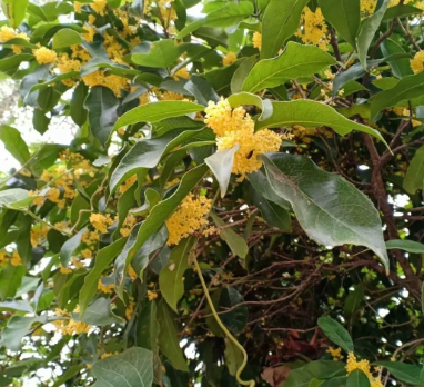 深情地活着的图片 深情地活着