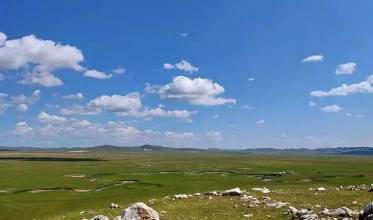 乃林榆鼓的故事