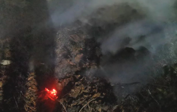 故乡的白月光的图片 故乡的白月光