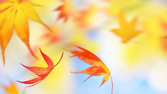 过去的伤,今日的光的图片 过去的伤,今日的光