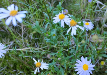 光明是有启示意味的