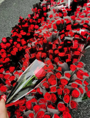 离北马开赛只有12天:放平心态,习惯要好。的图片 离北马开赛只有12天:放平心态,习惯要好。