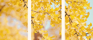 贝语芳言4&#8212;做手工