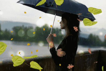 秋风里那些宁静的时光