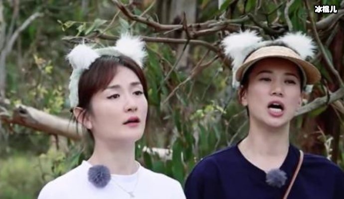 袁咏仪看到李敏镐照片激动狂欢,网友笑称:不愧是粉头我靓姐!