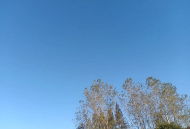 盲人医生的图片 盲人医生