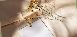 我的一天的图片 我的一天