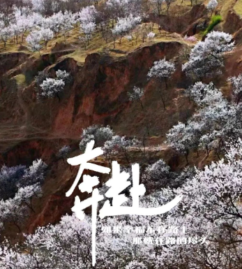 了不起的盛华院长的图片 了不起的盛华院长