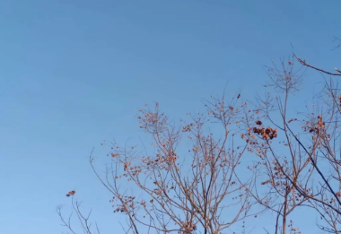 随记:大欢喜、大自在的图片 随记:大欢喜、大自在