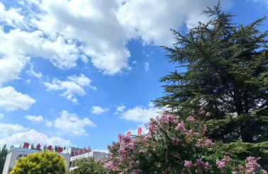 每天轻松走一两万步,忙的不亦说乎!的图片 每天轻松走一两万步,忙的不亦说乎!