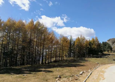 山水涧农家院温泉疗养散记的图片 山水涧农家院温泉疗养散记