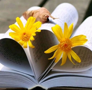 冬夜的胡思和乱想的图片 冬夜的胡思和乱想