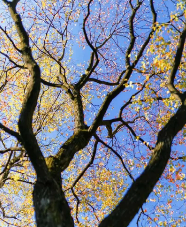 乾坤未定，你我皆是黑马