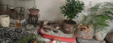 假期小记的图片 假期小记