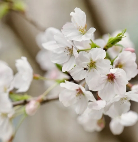 他,真让我温暖的图片 他,真让我温暖