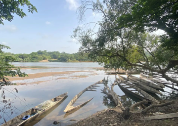 静静的尼扬荡河的图片 静静的尼扬荡河