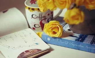 不靠谱的“芳姐”反思