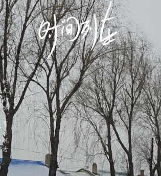 11月31日梦呓涂写