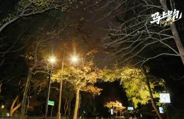 不分春暖花开还是寒风潇潇,有前因必有后果的图片 不分春暖花开还是寒风潇潇,有前因必有后果