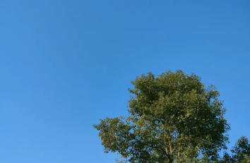 大雪日,天蓝得大彻大悟的图片 大雪日,天蓝得大彻大悟