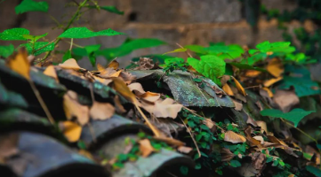 土瓦房的图片 土瓦房