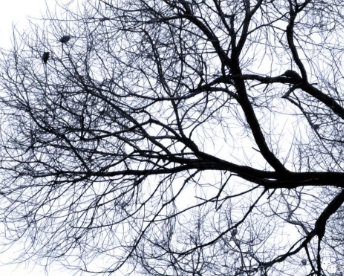 那么切近,那么温暖的图片 那么切近,那么温暖