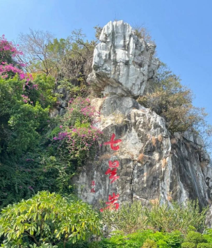 “大雪”第四天,广东27度的图片 “大雪”第四天,广东27度