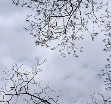 诚意生活，诚意做人