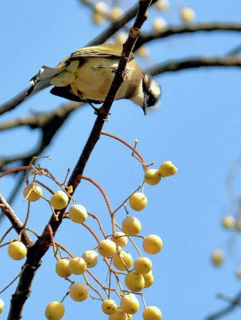 人生如寄，多忧何为