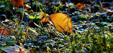 癸卯冬日随记的图片 癸卯冬日随记